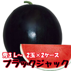 ubNWbN XCJ 햳XCJ  y ȂXCJ G3L 2ʓ8kg 2P[X z ԑXCJ XCJ Z 󂠂  ~  R`  _Y  1   
