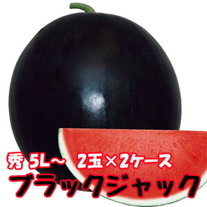 ubNWbN XCJ 햳XCJ  y ȂXCJ G5L 2ʓ 10kg 2P[X z ԑXCJ XCJ Z 󂠂 ~   R`  _Y  1   