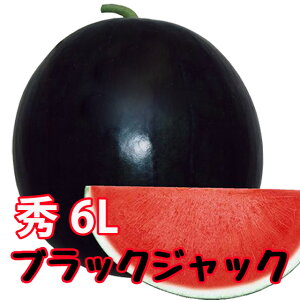ubNWbN XCJ 햳XCJ  y ȂXCJ G6L 1ʓ 11kg 1P[X zXCJ 傫XCJ  ԑXCJ XCJ Z 󂠂  ~  R` 