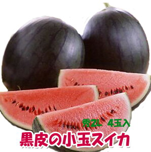 XCJ ʃXCJ ԑXCJ Z p w  XCJ Ȃ  ЂƂ肶߃{{ x G2L 4ʓ Mtg   Â ԑXCJ ~  _Y 