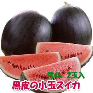 XCJ ʃXCJ ԑXCJ Z p w  XCJ Ȃ  ЂƂ肶߃{{ x G4L 2ʓ Mtg   Â ԑXCJ ~  _Y 