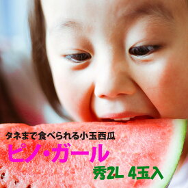 小玉スイカ 山形 送料無料 【 ピノガール 秀2L 4玉入り 1ケース 】 尾花沢スイカ 山形産 小玉すいか 敬老の日 お彼岸 西瓜 贈答用 訳あり すいか 農産物 お中元