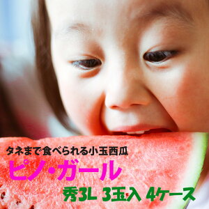 ʃXCJ R`  y smK[ G3L 3ʓ 4P[X z ԑXCJ R`Y ʂ hV̓ ފ Z p 󂠂  _Y  1   n    