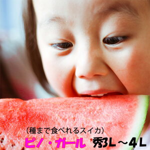 ʃXCJ R`  y smK[ G3L 3  2L 4ʓ z ԑXCJ R`Y ʂ hV̓ ފ Z p 󂠂  _Y 