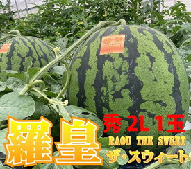スイカ 山形 尾花沢 大玉 送料無料 【 羅王 羅王ザスイート 祭りばやし 秀 2L （約7kg以上）～6L 1玉 贈答用 】らおう ラオウ 尾花沢スイカ 山形産 お中元 お盆 お供え 甘い 糖度 西瓜 贈答用 訳あり すいか 農産物 お中元 1 玉 の 収穫 時期 見分け 方 訳あり