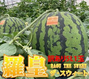 XCJ R` ԑ   y  UXC[g Ղ΂₵ 󂠂 ƒp 5L` i10kgȏj 1 z炨 ԑXCJ R`Y  ~  Â x Z p 