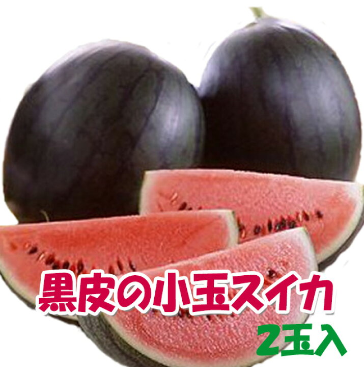 楽天市場 スイカ 小玉スイカ 尾花沢スイカ 西瓜 贈答用 黒皮 スイカ なつここあ 又は ひとりじめボンボン 秀2l 2玉入り ギフト すいか 送料無料 甘い 尾花沢スイカ 敬老の日 お彼岸 お供え 農産物 ポイント消化 100円 300円 500円 お中元 花ギフト 山形産果物