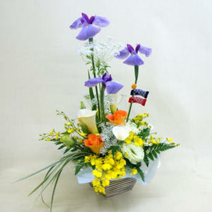 楽天市場 菖蒲 節句 ショウブ あやめ 花ショーブ アレンジ 菖蒲以外の色が選べる 子供の日 端午の節句 初節句 フワラワーアレンジ こどもの日 こいのぼり 男の子 花束 鉢植え ギフト 花 ショーブ アレンジメント フラワーアレンジメント 湯 花ギフト ポイント消化