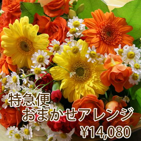 花 当日届 フラワー特急便 PM1時までの受付 フラワーアレンジメント 14,080円 母の日 2024 フラワーギフト プレゼント お彼岸 バレンタイン 父の日 お中元 お盆 アレンジメント ギフト 誕生日 結婚記念日 端午の節句 送別 卒業 入学 花束 お供え 当日配達 花ギフト