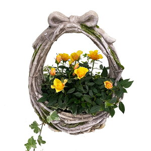 バラ 寄せ植え 鉢 生花の人気商品 通販 価格比較 価格 Com