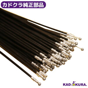 JhNi P[ue ėpi JhNԈ֎qp