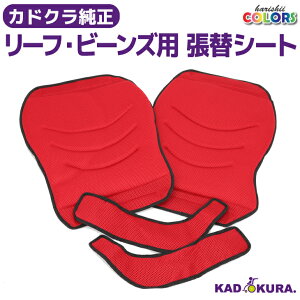 JhN KADOKURA IvV փV[g r[YE[tp bh