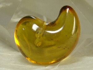 VRu[Ao[i߁jʁi܂܁j13mmit4j