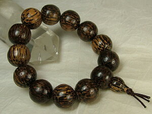 iIxgiY؁ui񂱂juXbgv18mmʁij1j