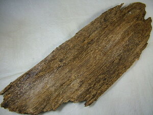 iIxgiY؁ui񂱂j؁v535mm