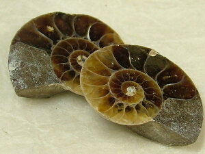 AiCg΁i19mmEg×2Pjv2