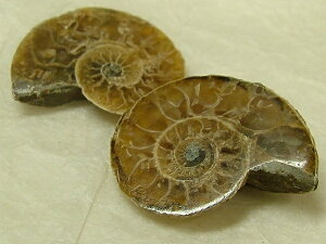 AiCg΁i19mmEg×2Pjv4