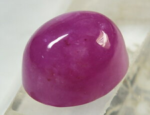 ~}[ŐiЂjȉ~^[XgFi21×17mmje6