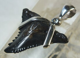 ■龍香堂■☆鮫歯化石（fossil shark tooth）シルバーペンダントトップ22mm（k1）