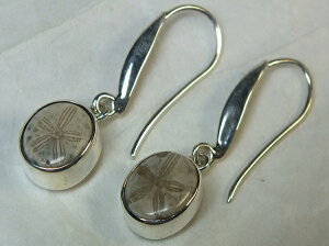 Ej΁ifossil sea urchinjVo[sAX11mm