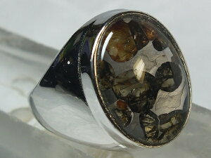 ■龍香堂■☆パラサイト隕石 銀台リング15号(v21)