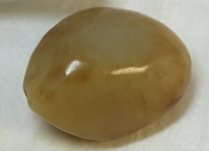 ANZp@acʁiz[^͂傭je25mmih6j