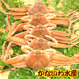 楽天市場 生き た カニの通販 楽天市場 生き た カニの通販