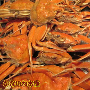 yz{CI󂠂荁Kj1.2kgZbgiKjEqKjEeKjEREoRKjEZRKjj