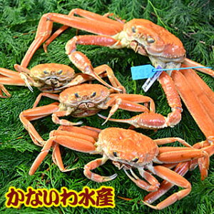 yz{CIōIYCKj߂ƃZbgA