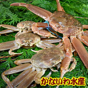 yz芈IōIYCKj߂ƃZbgA