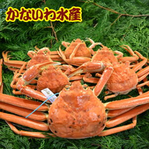 yz{CIōIYCKj߂ƃZbgB