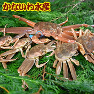 yz芈IōIYCKj߂ƃZbgB