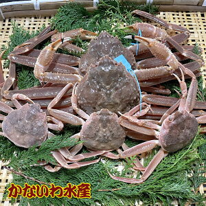 yz芈IōIYCKj߂ƃZbgA{1