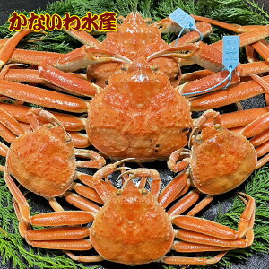 yz{CIōIYCKj߂ƃZbgA{1