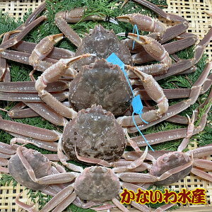 yz芈IōIYCKj߂ƃZbgA{2