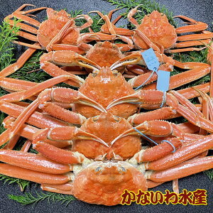 yz{CIōIYCKj߂ƃZbgA{2