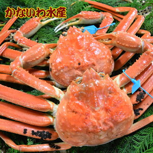 yz{CIōIuh^Ot{YCKj (+ 2tZbg)