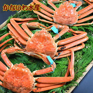 yz{CIōIuh^Ot{YCKj (+ 3tZbg)