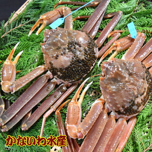 yz芈IōIuh^Ot{YCKj (+ 2tZbg)