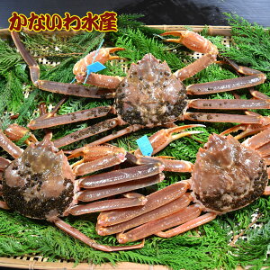 yz芈IōIuh^Ot{YCKj (+ 3tZbg)