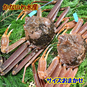 yz芈IōIuh^Ot{YCKj (TCY܂2tZbg)