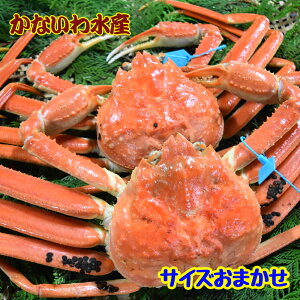 yz{CIōIuh^Ot{YCKj (TCY܂2tZbg)