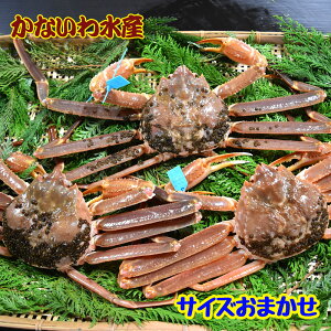 yz芈IōIuh^Ot{YCKj (TCY܂3tZbg)