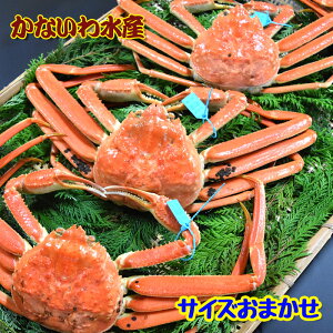 yz{CIōIuh^Ot{YCKj (TCY܂3tZbg)