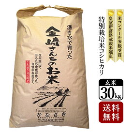 【送料無料】特別栽培米コシヒカリ 玄米 30kg 令和7年産スーパーフード 家庭用精米機 玄米食 長野県飯山産 金崎さんちのお米【39ショップ】