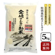 【送料無料】特別栽培米コシヒカリ 5kg 令和7年産お米 白米 5キロ こしひかり 長野県飯山産 金崎さんちの…