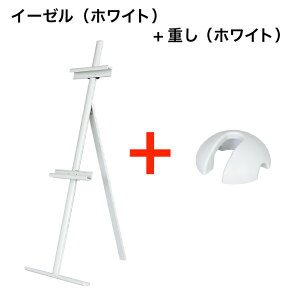 C[[ 2{rA~C[[ X^h plX^h EFJ{[h LpXX^h A~C[[ IV AeB[N zX^h