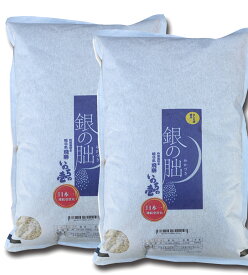 銀の朏 岐阜県 下呂産 特栽減減 玄米 令和5年産 1等 10kg (5kg×2)（ぎんのみかづき）