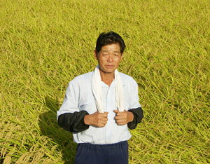 7NY VOc _򏭂ȂߗL@엿炿 ~L[NC[ 2 30kg