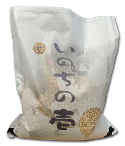 ߘa6NY ̂̈ ͌ 1  10kg(5kg×2)